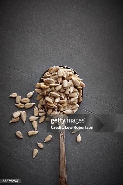 sunflower seeds - zonnebloempit stockfoto's en -beelden
