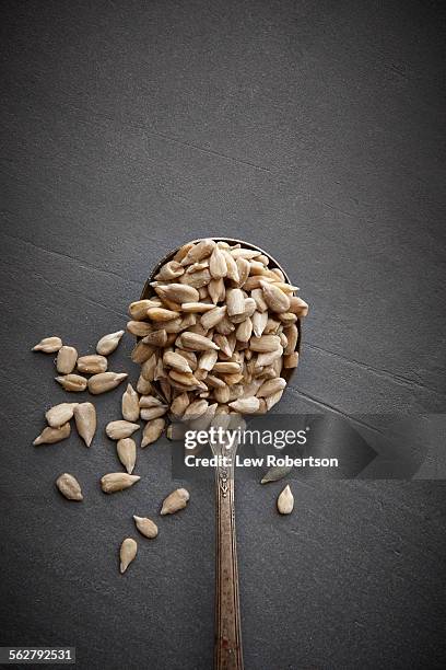 sunflower seeds - sunflower seed stock pictures, royalty-free photos & images