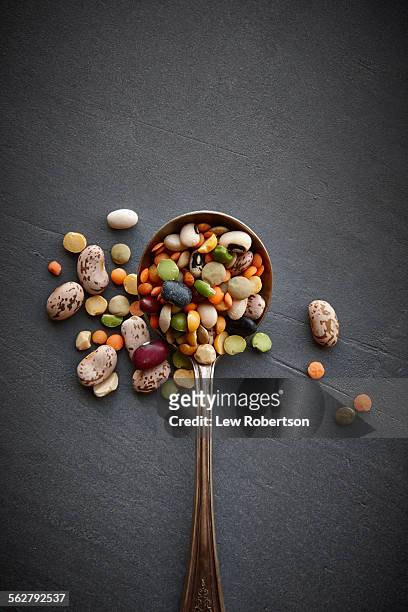 mixed beans - legumes bildbanksfoton och bilder