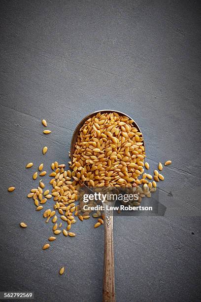 flax seed - flax plant stock pictures, royalty-free photos & images