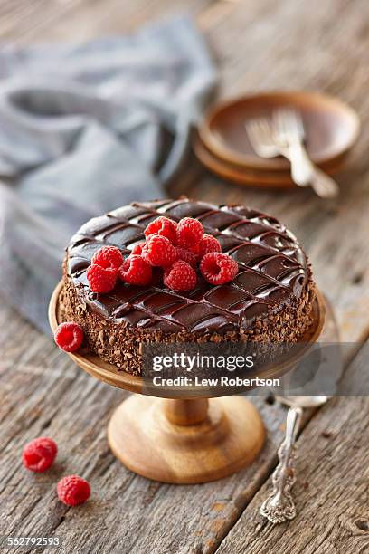 chocolate cake - chocoladetaart stockfoto's en -beelden