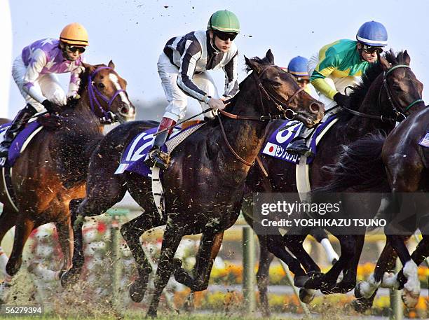 Bago (Horse) Photos and Premium High Res Pictures Getty Images