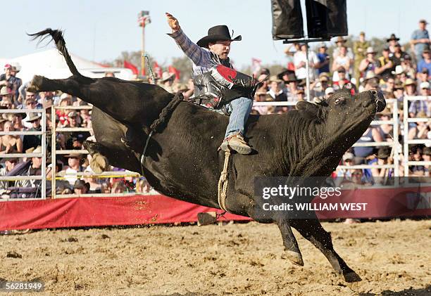 Bull Riders Aus 14 Australia Animals Bullriders Stock Photos, High-Res Pictures, and ...