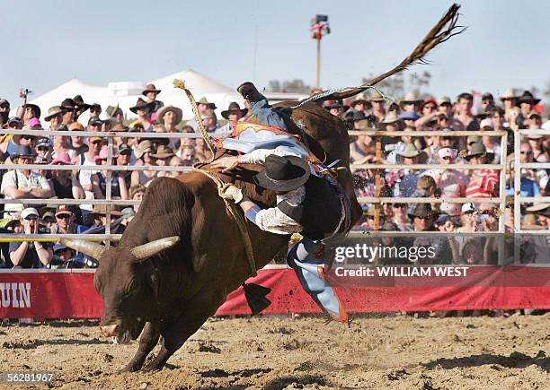 Bull Riders Aus Australia Animals Bullriders Photos and Premium High Res Pictures ...
