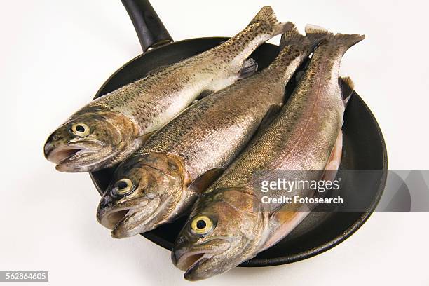 frying fish - trout stock photos et images de collection
