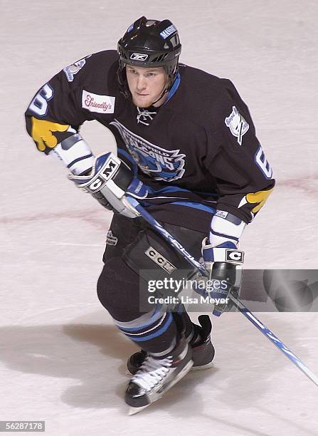 Doug O'Brien of the Springfield Falcons skates against the Bridgeport Sound Tigers during the game on November 19, 2005 at the Arena at Harbor Yard...