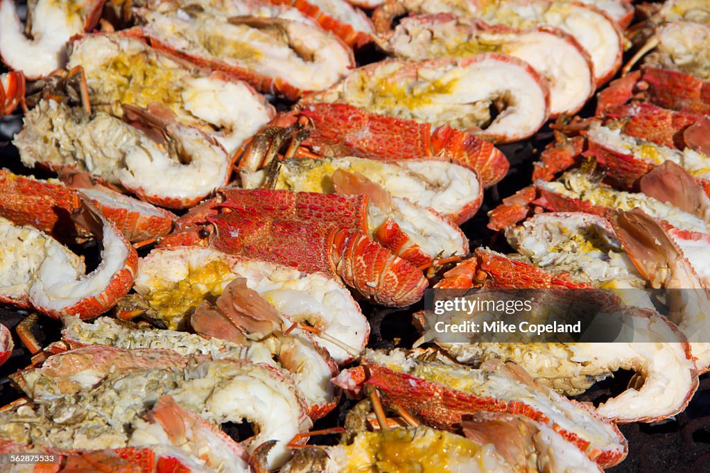 A grid packed full of crayfish (cape rock lobster or Jasus lalandii) grills slowly over the coals on an open fire at Die Strandloper Open-air Restaurant on the Cape West Coast at Langebaan, Western Cape, South Africa.
