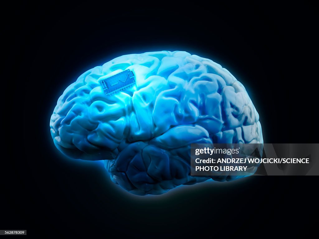 Microcontroller Brain Human Brain With Microchip Illustration High-Res Vector Graphic - Getty ...