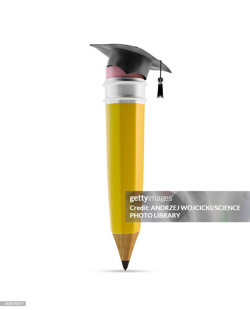 Pencil with graduation cap, illustration