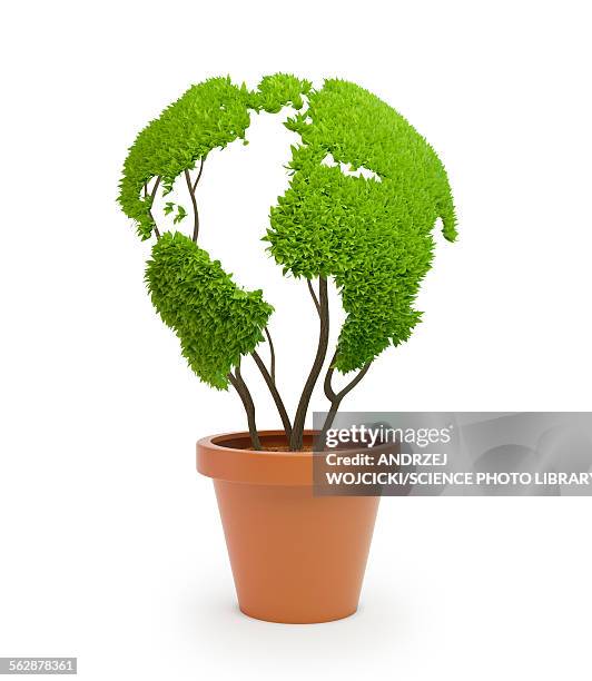 pot plant in shape of earth, illustration - flower pot stock illustrations