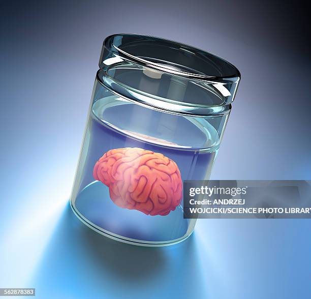 human brain in a glass jar, illustration - brain in a jar stock illustrations
