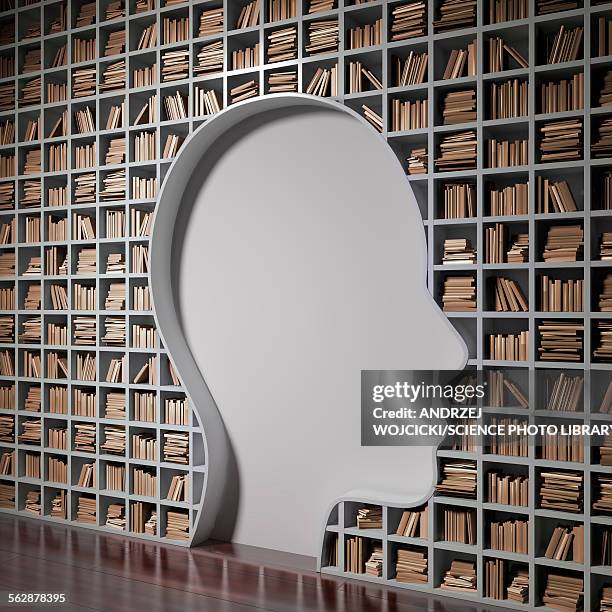 Head Library Library Office Background High Res Illustrations - Getty Images