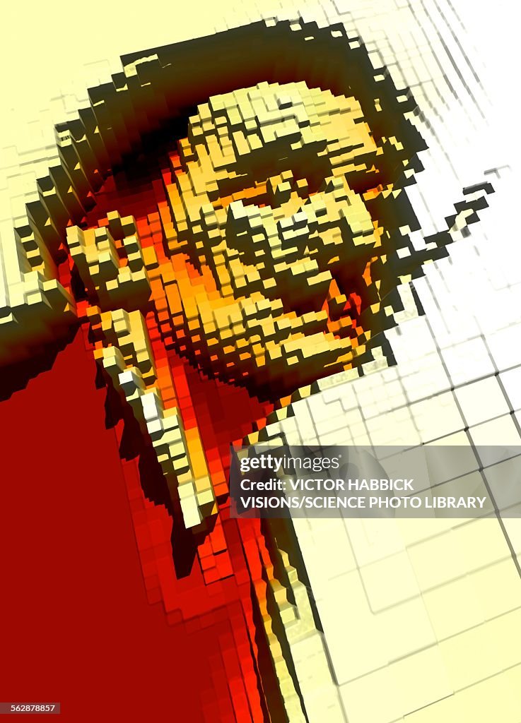 Pixilated face, illustration