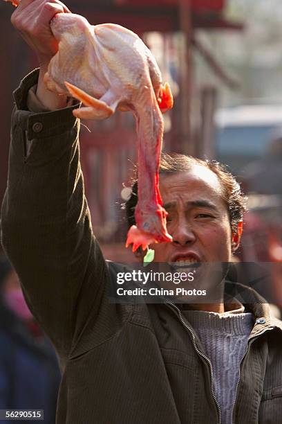 Vendor hawks a chicken at a market where poultry trade is partially suspended November 29, 2005 in Xining of Qinghai Province, China. The H5N1 strain...