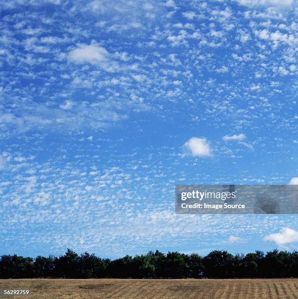 clouds above a field - 巻積雲 ストックフォトと画像