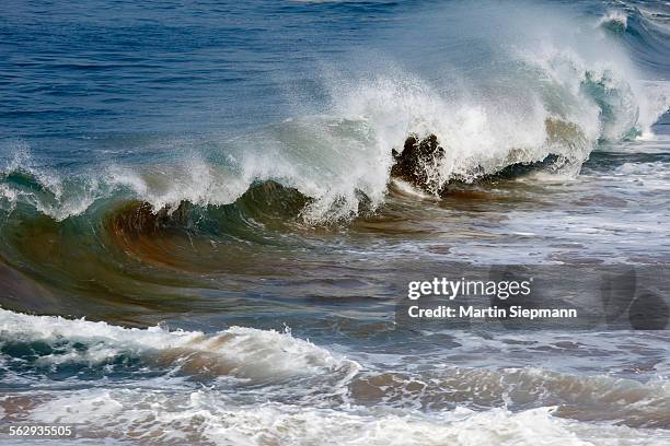 waves with sand near kovalam, malabar coast, malabar, kerala, southern india, india, asia - kerala surf foto e immagini stock