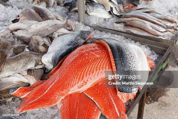 salmon and other kinds of fish, market stall, sneem, ring of kerry, county kerry, ireland, british isles, europe - sneem stock pictures, royalty-free photos & images