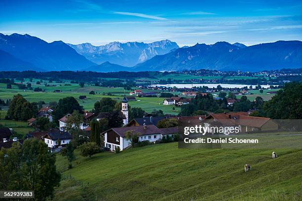 morning atmosphere, aidling, riegsee lake, upper bavaria, bavaria, germany - lake riegsee stock pictures, royalty-free photos & images