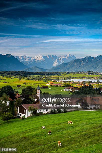 view of the village of aidling, riegsee lake, upper bavaria, bavaria, germany - lake riegsee stock pictures, royalty-free photos & images