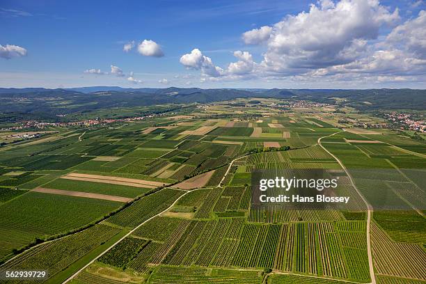 aerial view, meadows and fields, lengenfeld, lower austria, austria - 下奧地利州 個照片及圖片檔