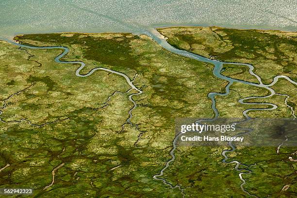 aerial view, ostheller outland, salt marshes with tidal creeks, norderney, island in the north sea, east frisian islands, lower saxony, germany - tidal marsh stock pictures, royalty-free photos & images