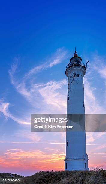 leuchtturm lyngvig fyr, hvide sande, denmark - hvide sande denmark stock pictures, royalty-free photos & images
