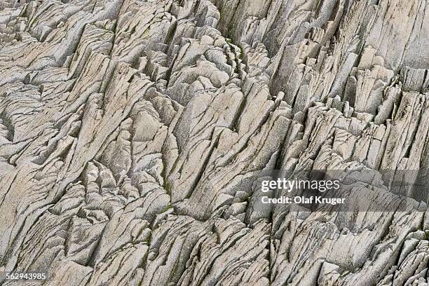 Shell Myrdal 24 Kruger Cave Stock Photos, High-Res Pictures, and Images - Getty Images