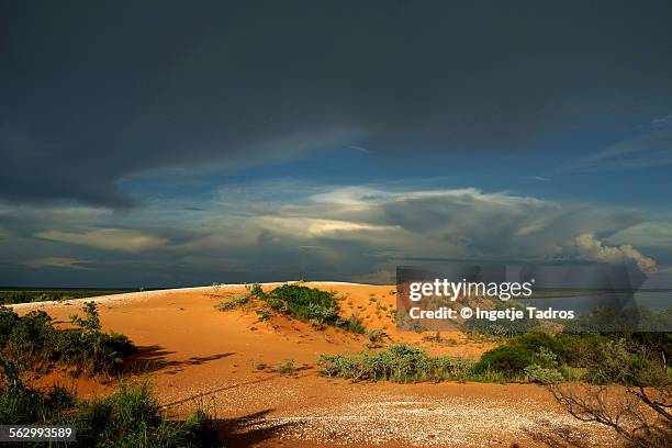 sanddunes on coast in western australia - kimberley plain stock pictures, royalty-free photos & images