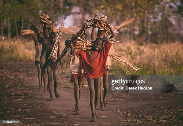 Young children carrying sticks for building shelters at a refuge, an abandoned Catholic mission near Palotaka. Two hundred kilometres west of the...