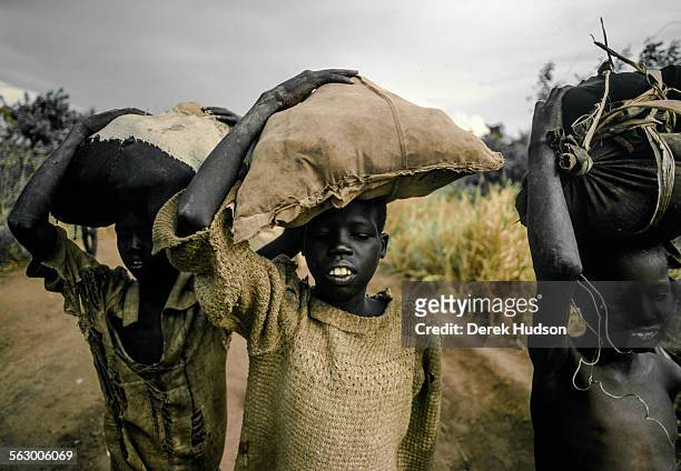 Children who fled the civil war in the Muslim north of Sudan are seen here carrying supplies they have scavenged from the surrounding jungle close to...