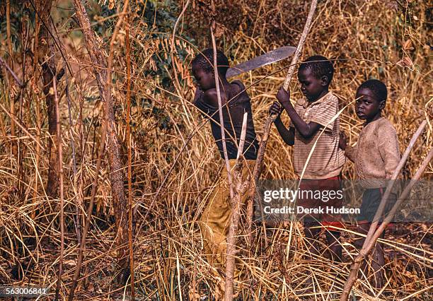 Young children, one wielding a machete, cut down small trees for firewood near their place of a refuge, ana abandoned mission near Palotaka, South...