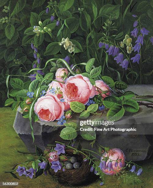 Still life with roses and bluebells. Artist fl. Circa 1850