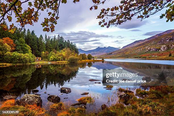 lake at capel curig, snowdonia, north wales - capel curig stock pictures, royalty-free photos & images