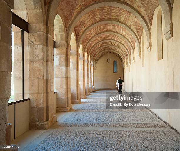 herreriano cloister - abbey stock pictures, royalty-free photos & images