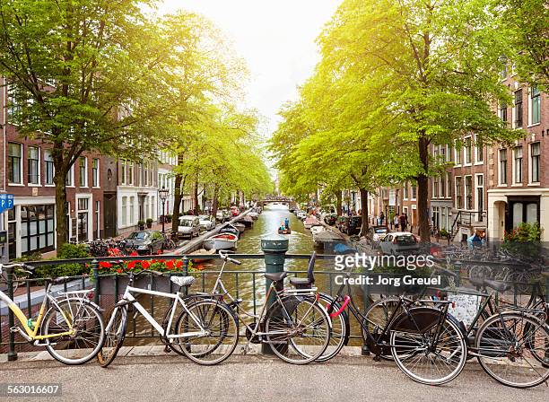 bloemgracht - netherlands stock pictures, royalty-free photos & images