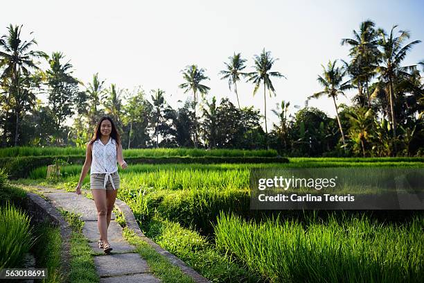 a young woman walking through a rice paddy - ubud rice fields stock pictures, royalty-free photos & images