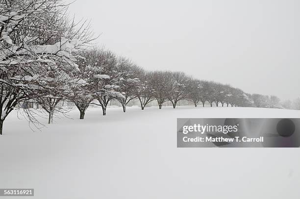 snow - correction fluid stock pictures, royalty-free photos & images