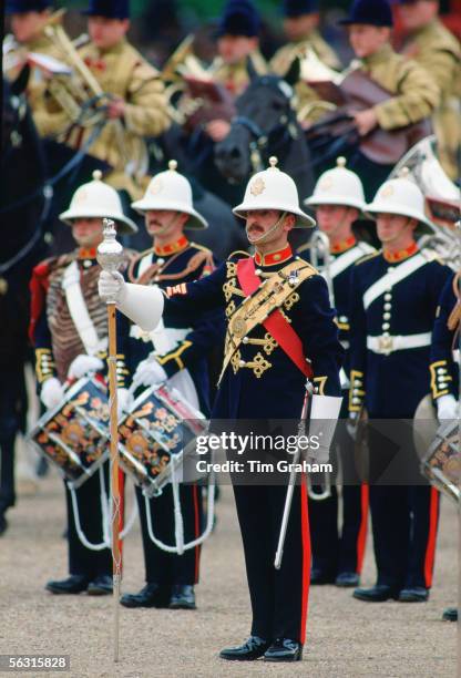 Royal Marine Band play during a ceremonial parade, United Kingdom.