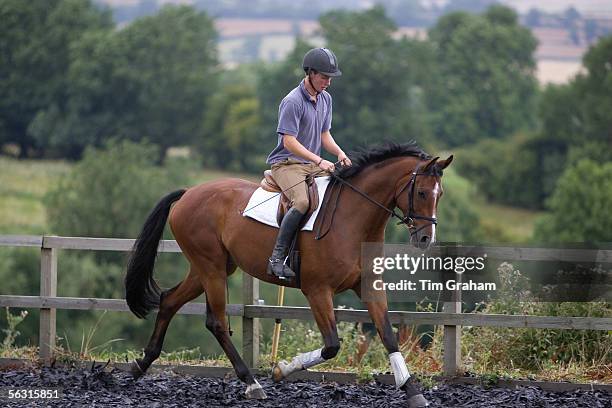 Young man schools a Dutch Warmblood horse, Oxfordshire, Great Britain.