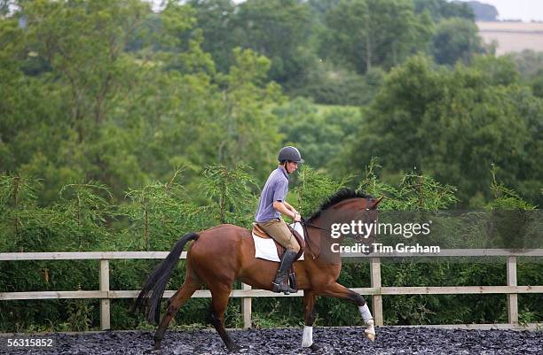 Young man schools a Dutch Warmblood horse, Oxfordshire, England.