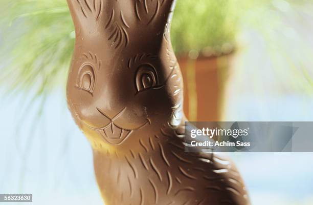 chocolate easter bunny, close-up - chocolate bunny stock-fotos und bilder