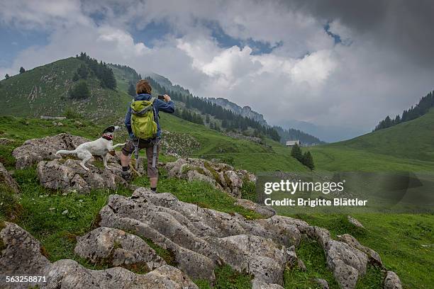 woman and dog wandering in amden, switzerland. - toggenburger tal stock-fotos und bilder