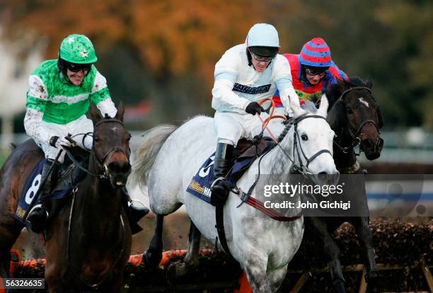Verasi 14 Verasi Stock Photos, High-Res Pictures, and Images - Getty Images