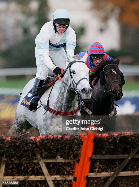 Verasi 14 Verasi Stock Photos, High-Res Pictures, and Images - Getty Images