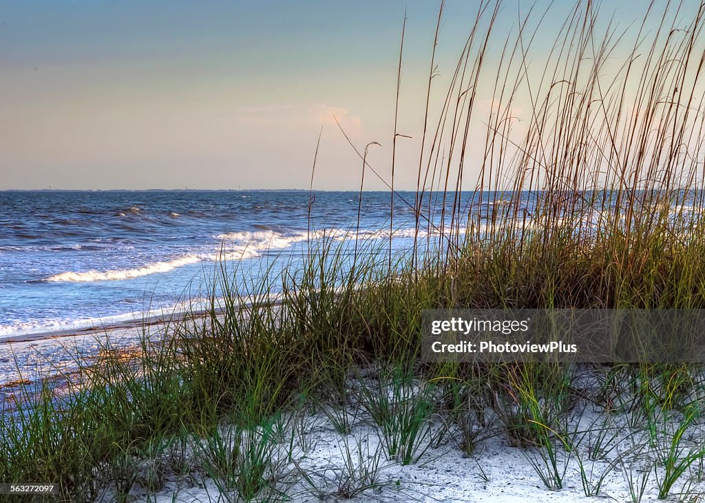 Sea grass holds the dunes
