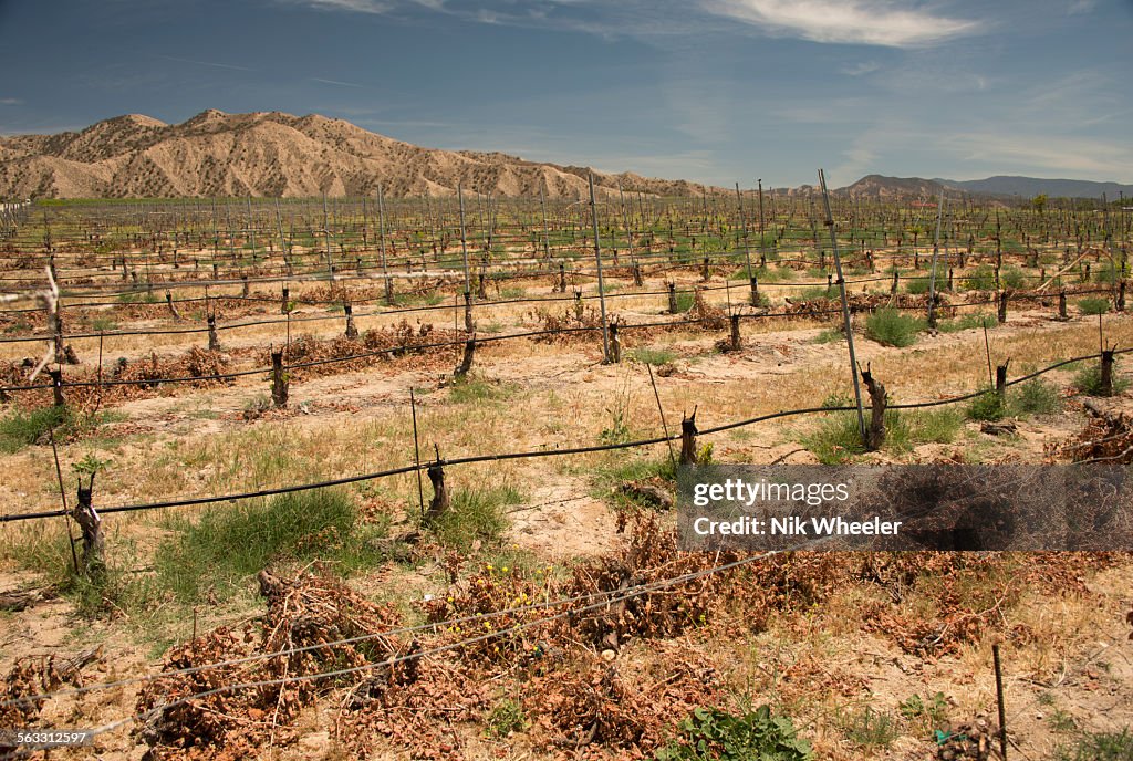 California Drought