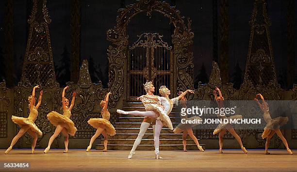 United Kingdom: Dancers from the Royal Ballet perform a dress rehersal of "The Nutcracker" by Tchaikovsky at the Royal Opera House in London, 05...