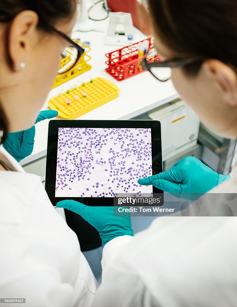 Research Interviewer Using Tablet Scientists Discussing Projekt On Digital Tablet High-Res Stock Photo ...