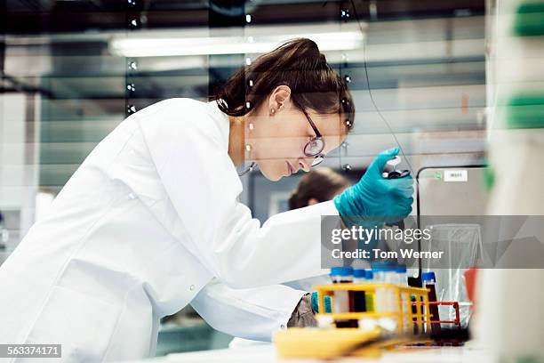 scientist using pipette in research laboratory - pipet laboratoriumapparatuur stockfoto's en -beelden