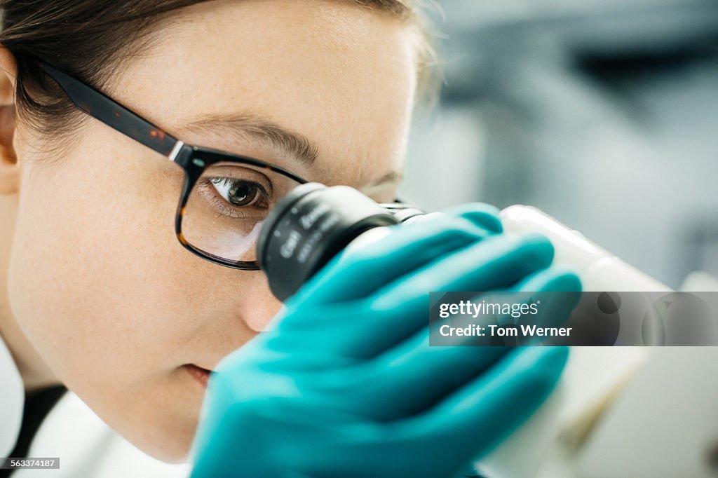 Female Scientist Looking Through Microscope